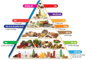 Chăm sóc dinh dưỡng thời kỳ tiền sản cho phụ nữ mang thai