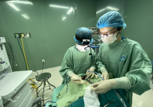 VIÊM AMIDAN Ở TRẺ NHỎ, NHỮNG ĐIỀU CẦN BIẾT