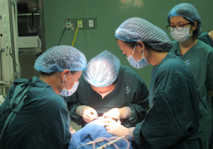 BVSN tiếp nhận chuyển giao kỹ thuật mổ sức môi hở vòm