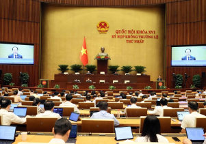 Kỳ họp không thường lệ thứ nhất, Quốc hội khóa XVI